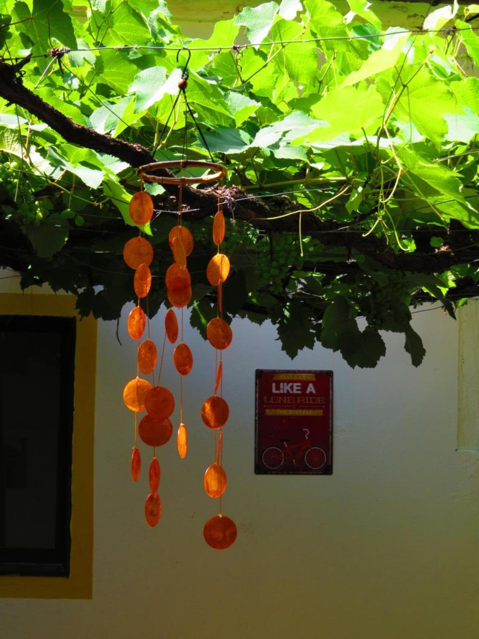 Chicamocha Hostel San Gil Exteriör bild